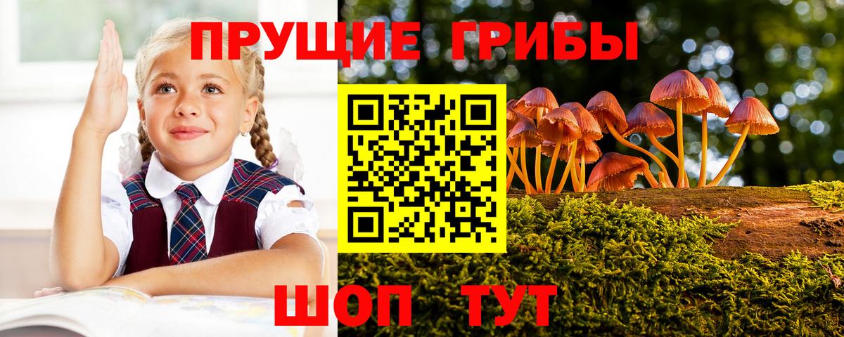 Псилоцибиновые грибы Psilocybe Изобильный
