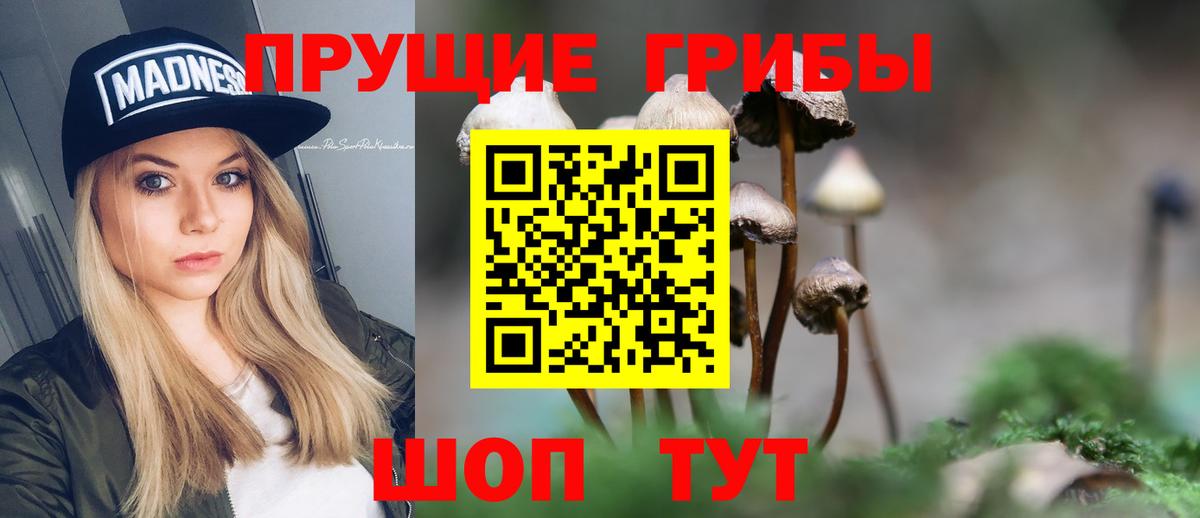 Изобильный  Галлюциногенные грибы GOLDEN TEACHER  Вход с VPN 